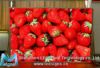 P7.62 Indoor Full Color LED Display