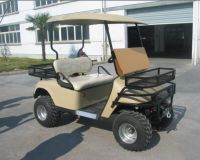 2 seat Golf Cart - American CURTIS Controller