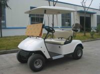 2 seats Golf Cart - CURTIS controller