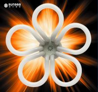 Lotus energy saving lamp