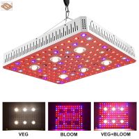 2020 New Full Spectrum 3000W LED Grow Light