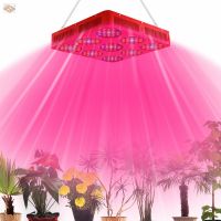 1800W LED grow light  for flower & plant in greenhouse