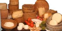 Sell Typical Italian Cheese from Sheep's Milk