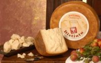 Sell semi-cooked paste Cheese from Sheep's Milk - "DISTINTU"