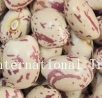 Sell Light Speckled Kidney Beans