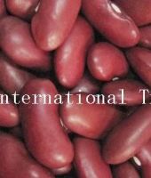 Sell Dark Red Kidney Beans