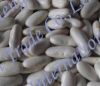 Sell White Kidney Beans (Great Northern Beans)