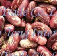 Sell Purple Light Kidney Beans