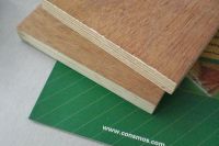 Keruing Plywood