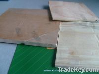 Sell  Packaging Plywood