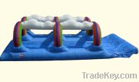 Sell inflatable double lane water slide