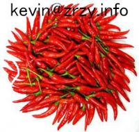 Sell red hot chilli (chaotian chilli)
