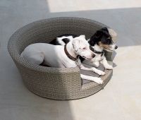 C257 dog chair