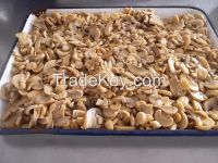 new crop canned mushrooms pns