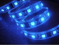 Sell  SMD5050 Blue LED water-proof strip light