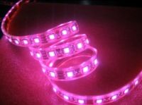 Sell  SMD5050  pink LED water-proof strip light