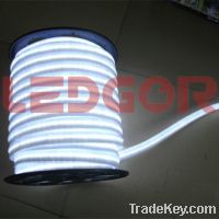 Ledgorlighting 220V/24V Flexible LED Neon Light