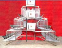 Sell layer chicken cage