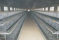 Sell Poultry cage