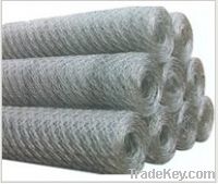 Sell Stainless Steel Hexagonal Wire Netting
