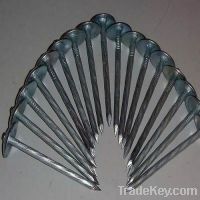 Umbrella Head Roofing Nail