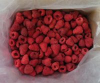 Sell frozen raspberry