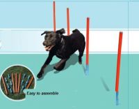 Dog agility slalom course