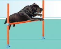 Dog Agility Building High Jump