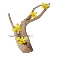 Natural Driftwood for home and aquarium decoration