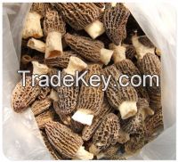 Sell Dried Morchella