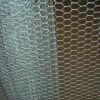 Sell Hexagonal Wire Netting