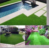 Sell beautiful artificial grass for swimming pool