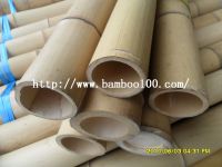 Sell Natural  mao Bamboo