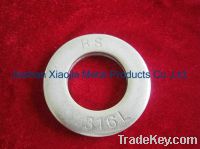 Sell SS 316 Flat Washer / SUS 316 Flat Washer / A4 Flat Washer
