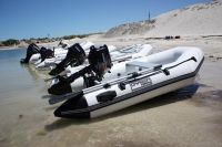Sell Inflatable Boats