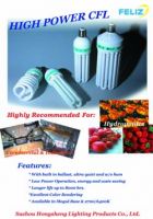 Sell a wide range of energy saving lamps
