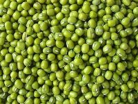 Sell Green Mung Beans