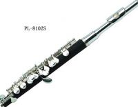 Sell flute/musical instrument