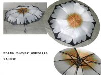 Sell 3 fold umbrella, flower umbrella, auto open & close umbrella