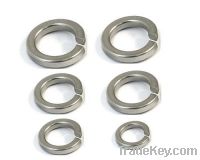 Sell 254SMO 1.4547 UNS S31254 F44 Spring lock washer
