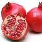 Sell Pomegranates best quality & prices