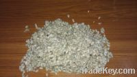 COTTON SEED WITH LINTER