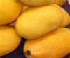 Fresh Sindhri mangoes