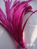 Sell cocktail feather, rooster feather