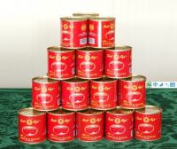 Sell Canned Tomato Paste 850gx12tins