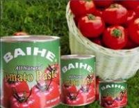 Sell Canned Tomato Paste 1000gx12tins