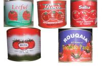 Sell Canned Tomato Paste 400gx24tins
