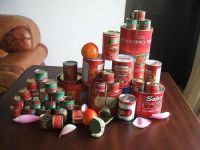 Sell Canned Tomato Paste 70gx50tins