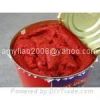 Sell Canned Tomato Paste 70g x 100tins