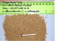 Mustards Seeds (Sinapis Alba)